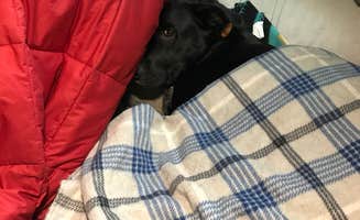 Shannon G.'s photo of glamping accommodations at Delaware State Park Campground near Pataskala, OH
