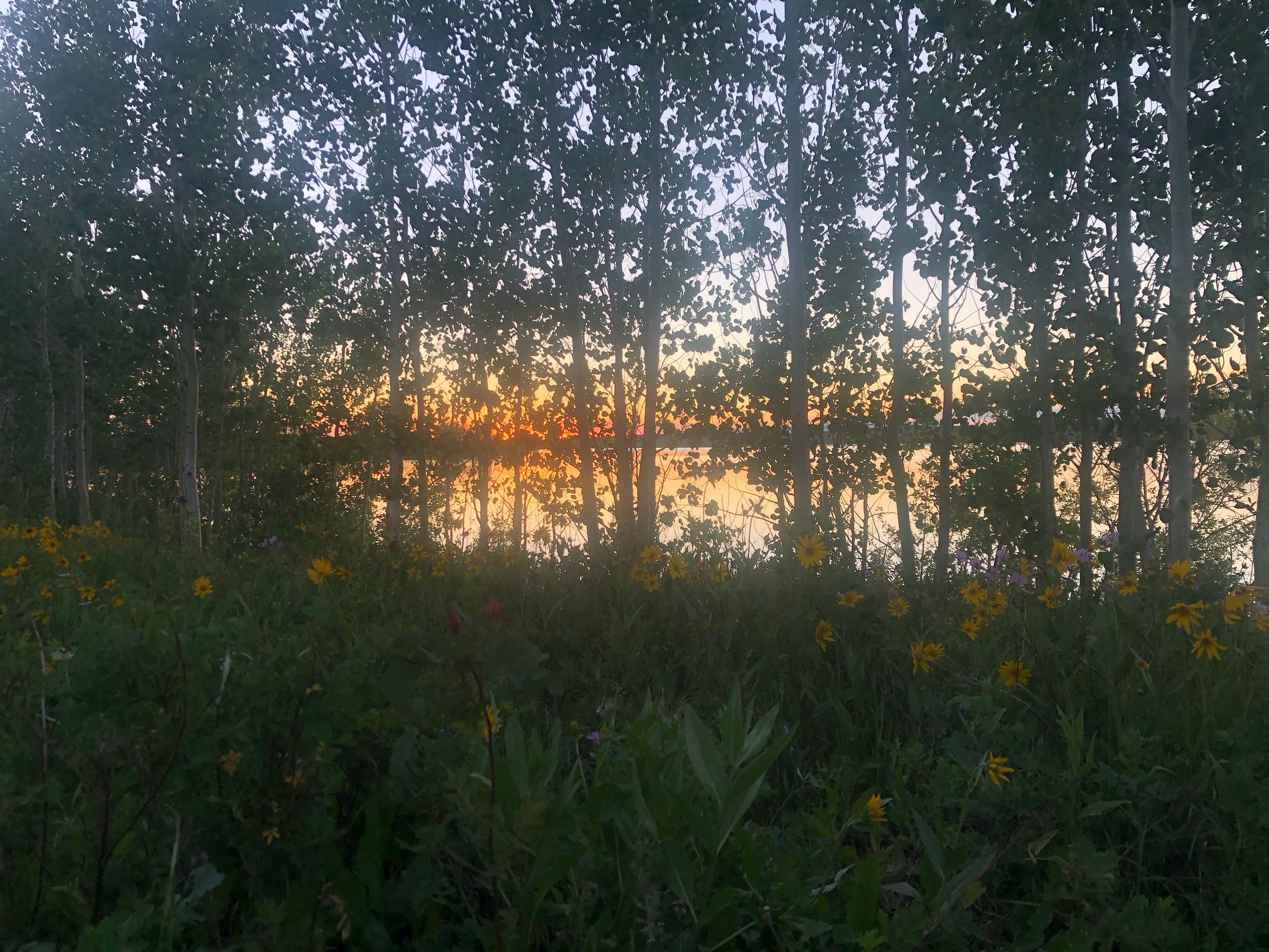 Camper-submitted photo at Willow Lake near Cora, WY