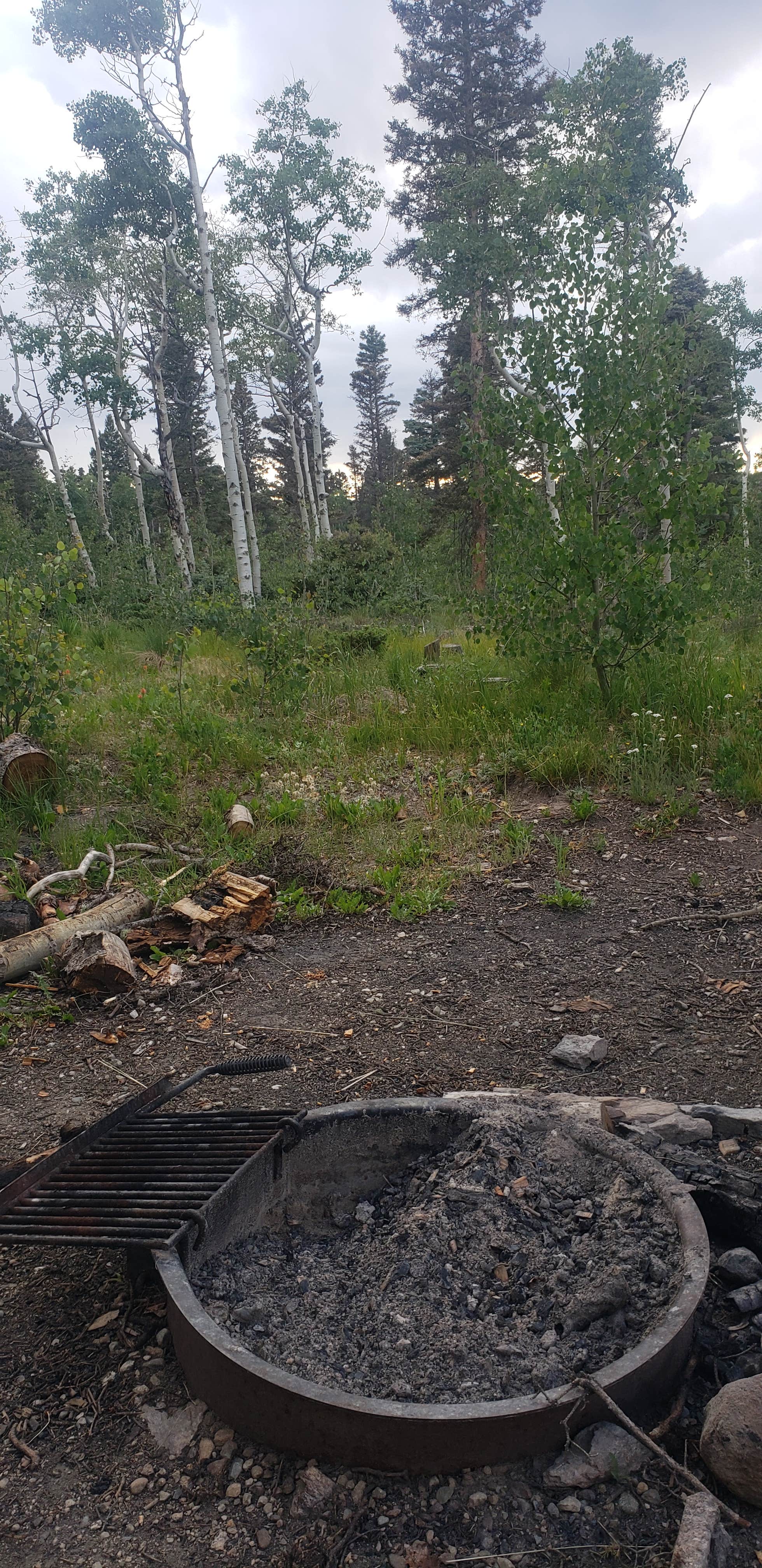 Camper submitted image from Hopewell Lake Campground - 4