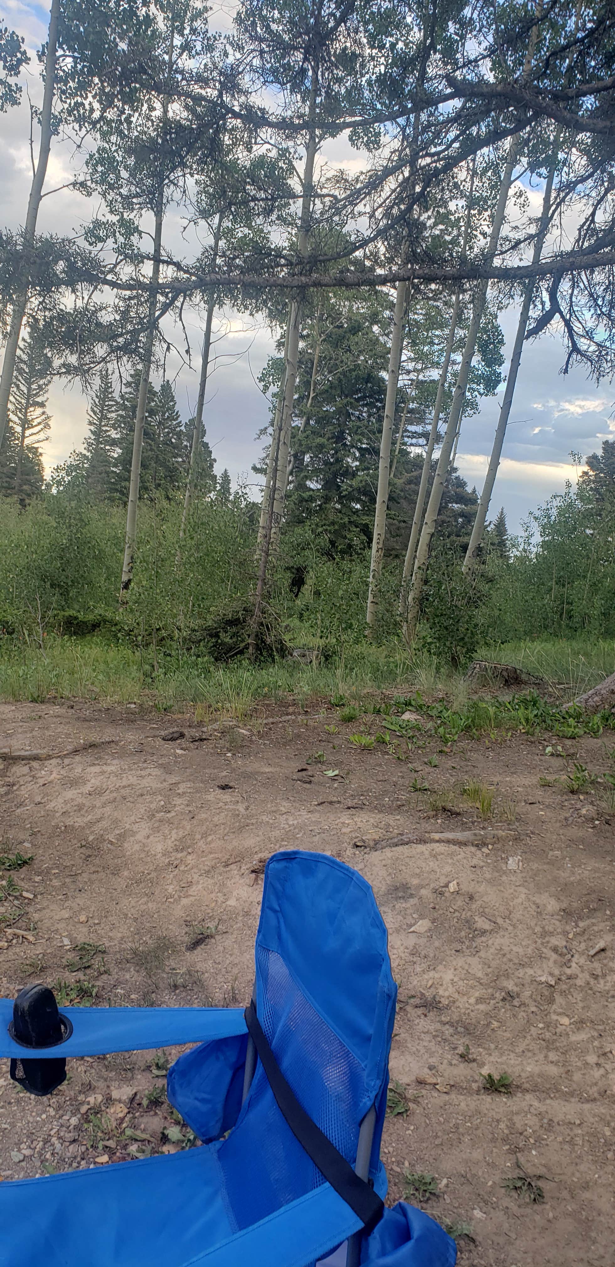 Maggie H.'s photo at Hopewell Lake Campground near Los Ojos, NM