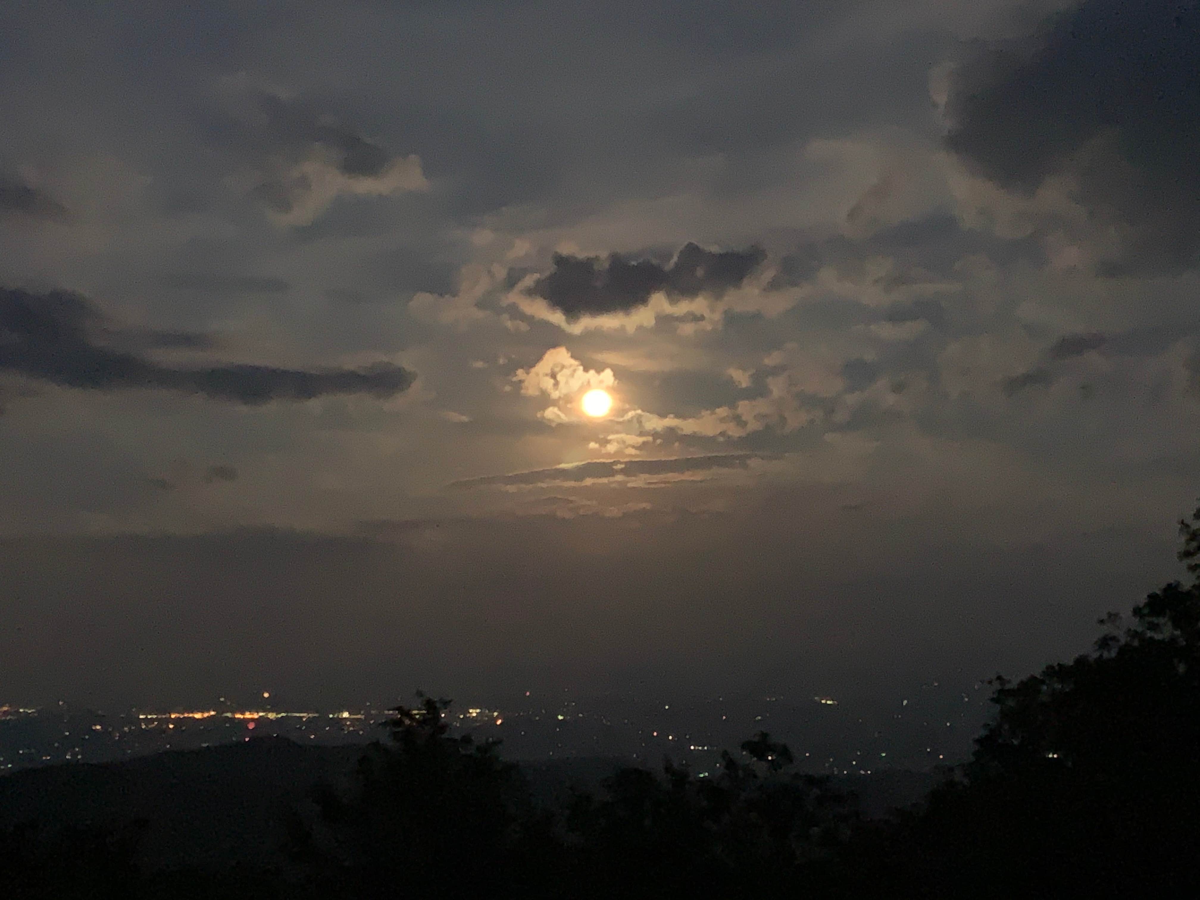 David B.'s photo of a dispersed camping area at Flagpole Knob near Shenandoah National Park