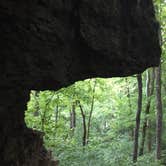 Review photo of Charlestown State Park Campground by Elizabeth S., December 19, 2017