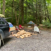 Review photo of Island Campground by Lacey L., July 7, 2020