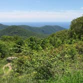 Review photo of Shenandoah National Park Dispersed Sites — Shenandoah National Park by Debra R., July 7, 2020