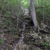 Review photo of Charlestown State Park Campground by Elizabeth S., December 19, 2017