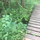 Review photo of Charlestown State Park Campground by Elizabeth S., December 19, 2017