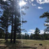 Review photo of Pinegrove Campground by Melissa S., July 5, 2020