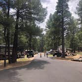 Review photo of Pinegrove Campground by Melissa S., July 5, 2020