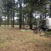 Review photo of Pinegrove Campground by Melissa S., July 5, 2020