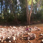 Review photo of Dead Horse Ranch State Park Campground by Melissa S., July 7, 2020