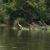 Review photo of Stubblefield Lake Recreation Area by Monica J., July 7, 2020