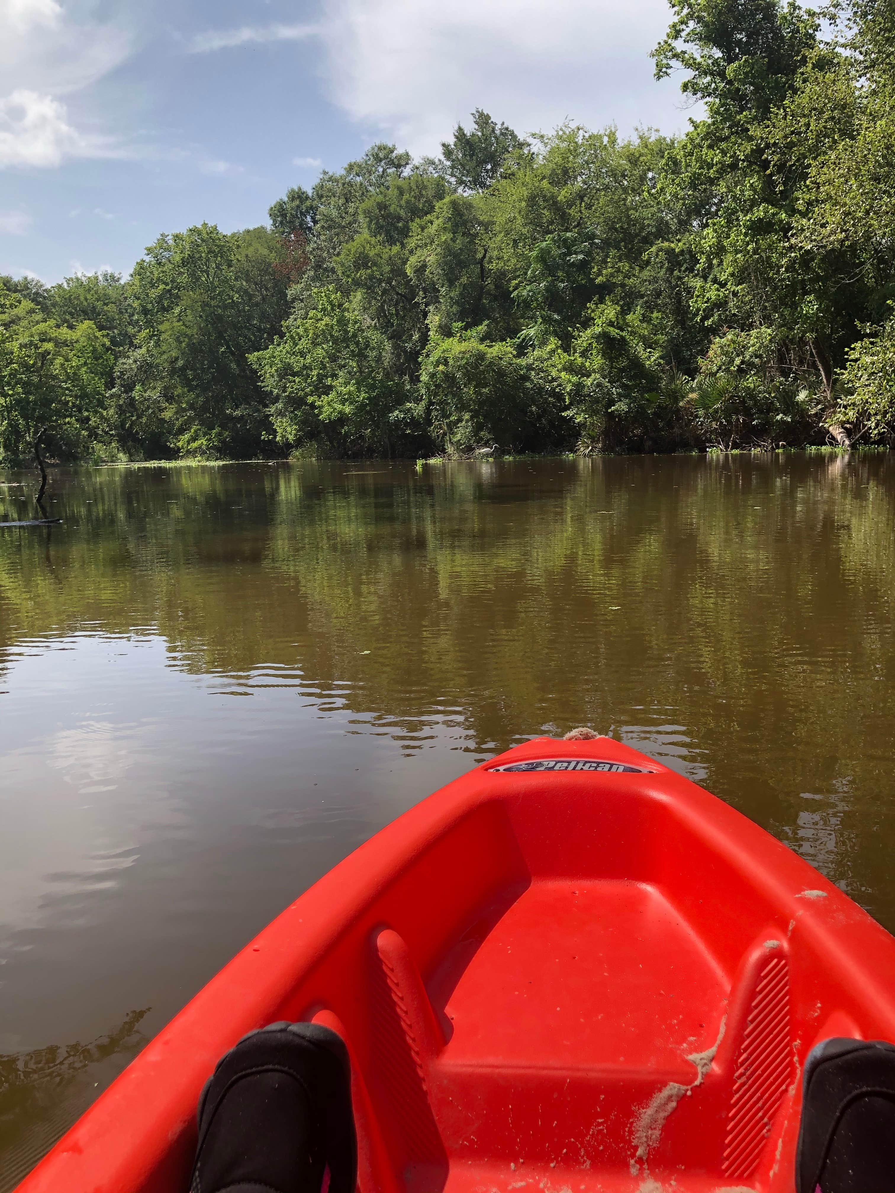 Camper submitted image from Stubblefield Lake Recreation Area - 4