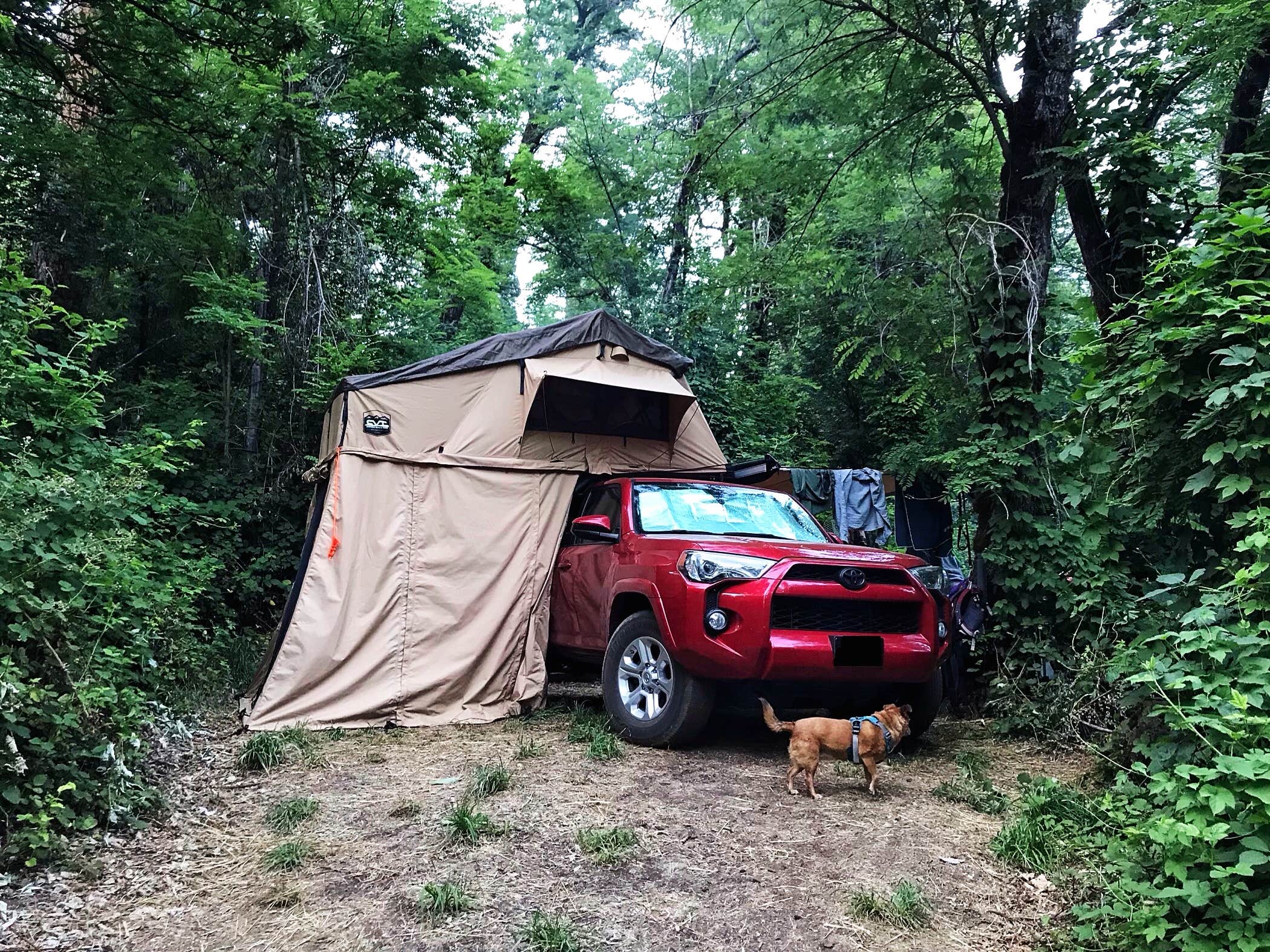 Camper-submitted photo at Ah-Di-Na Campground near Weed, CA