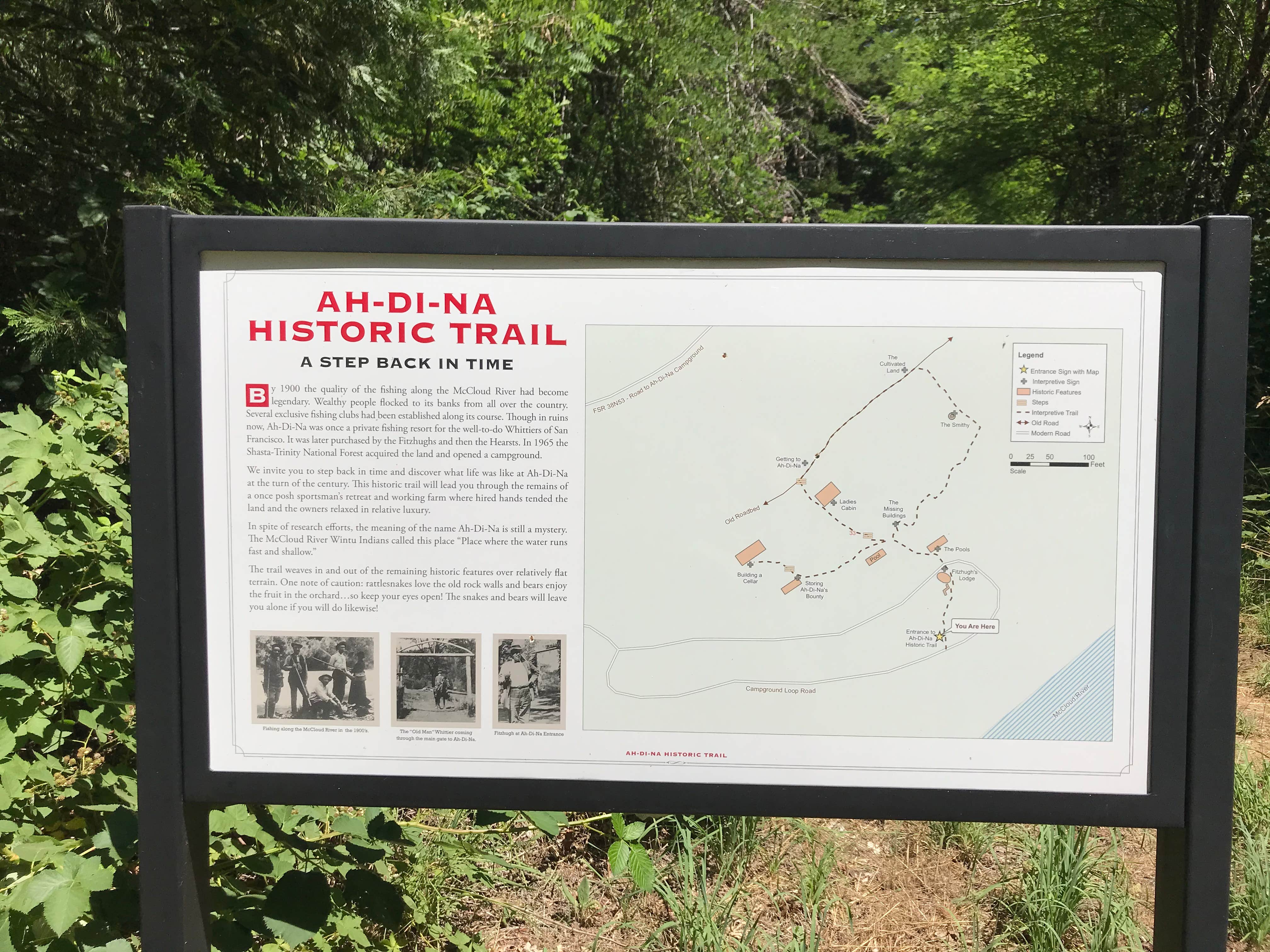 Camper-submitted photo at Ah-Di-Na Campground near Weed, CA