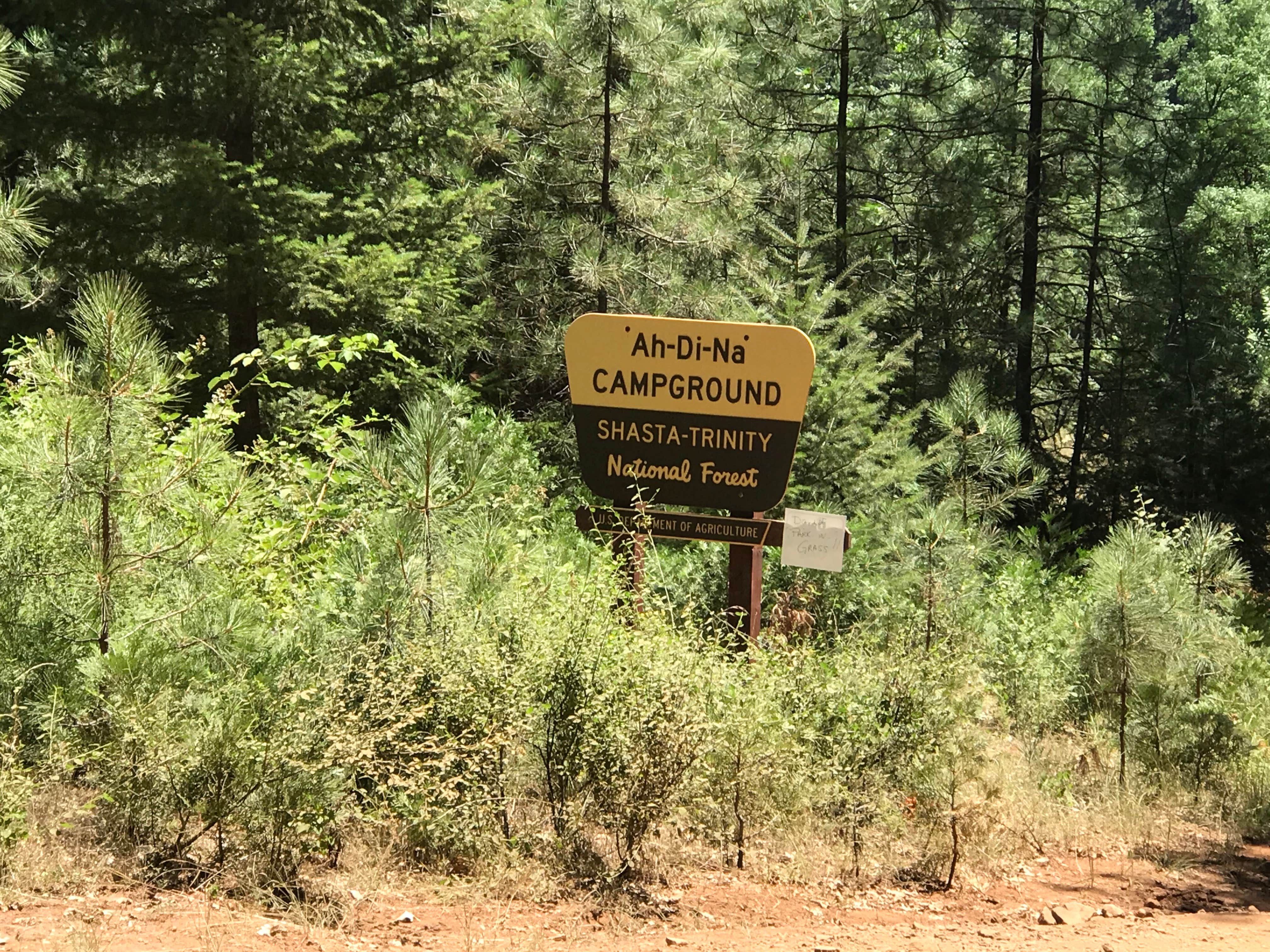 Camper-submitted photo at Ah-Di-Na Campground near Weed, CA