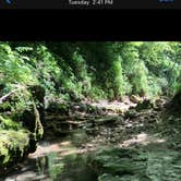 Review photo of Camp Glen Wendel Primitive Backcountry — Yellow River State Forest by Shyla G., July 7, 2020