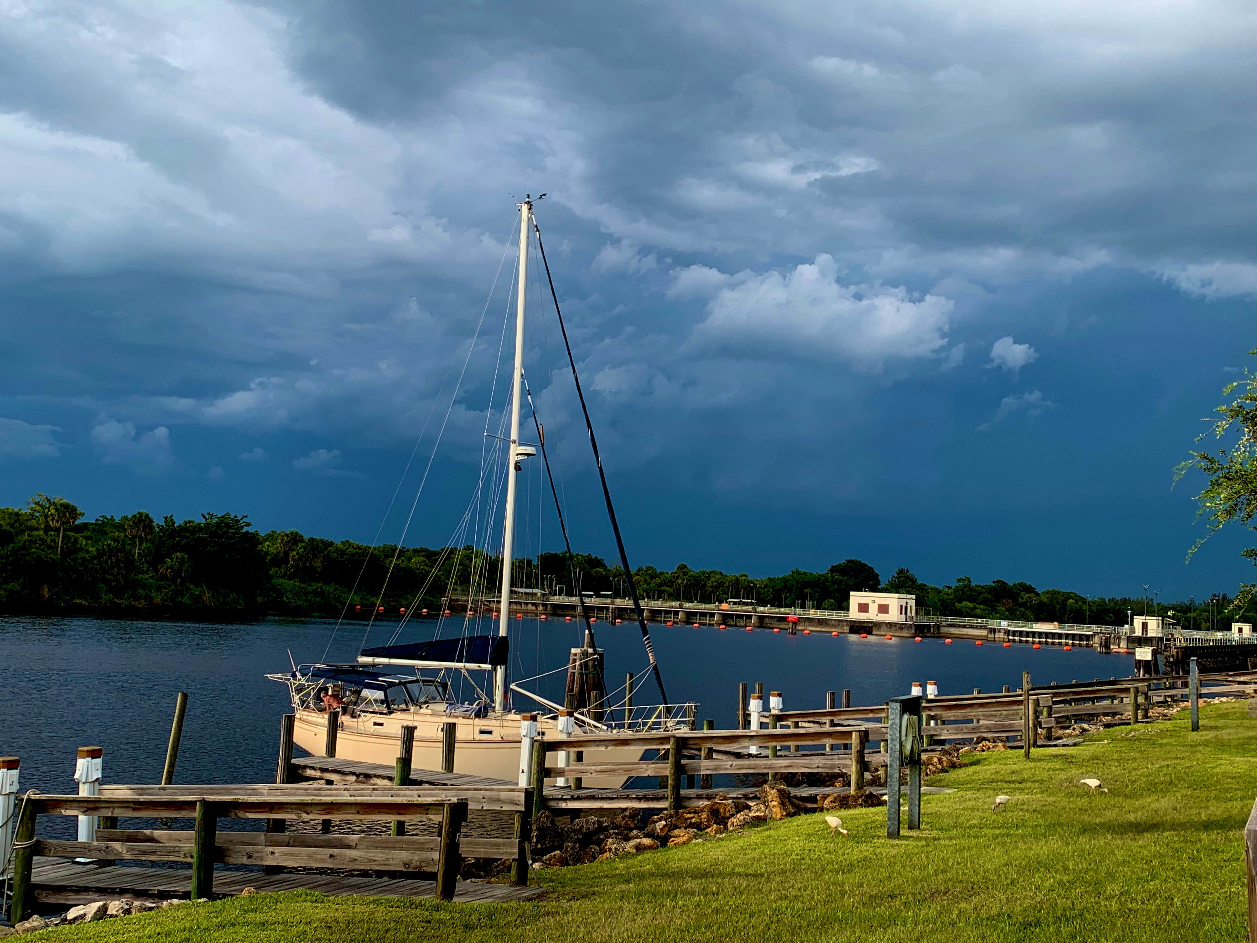 Camper submitted image from St Lucie South - 2