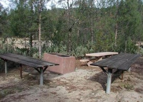 Whiskey Creek Group Picnic Area (whiskeytown Nra)