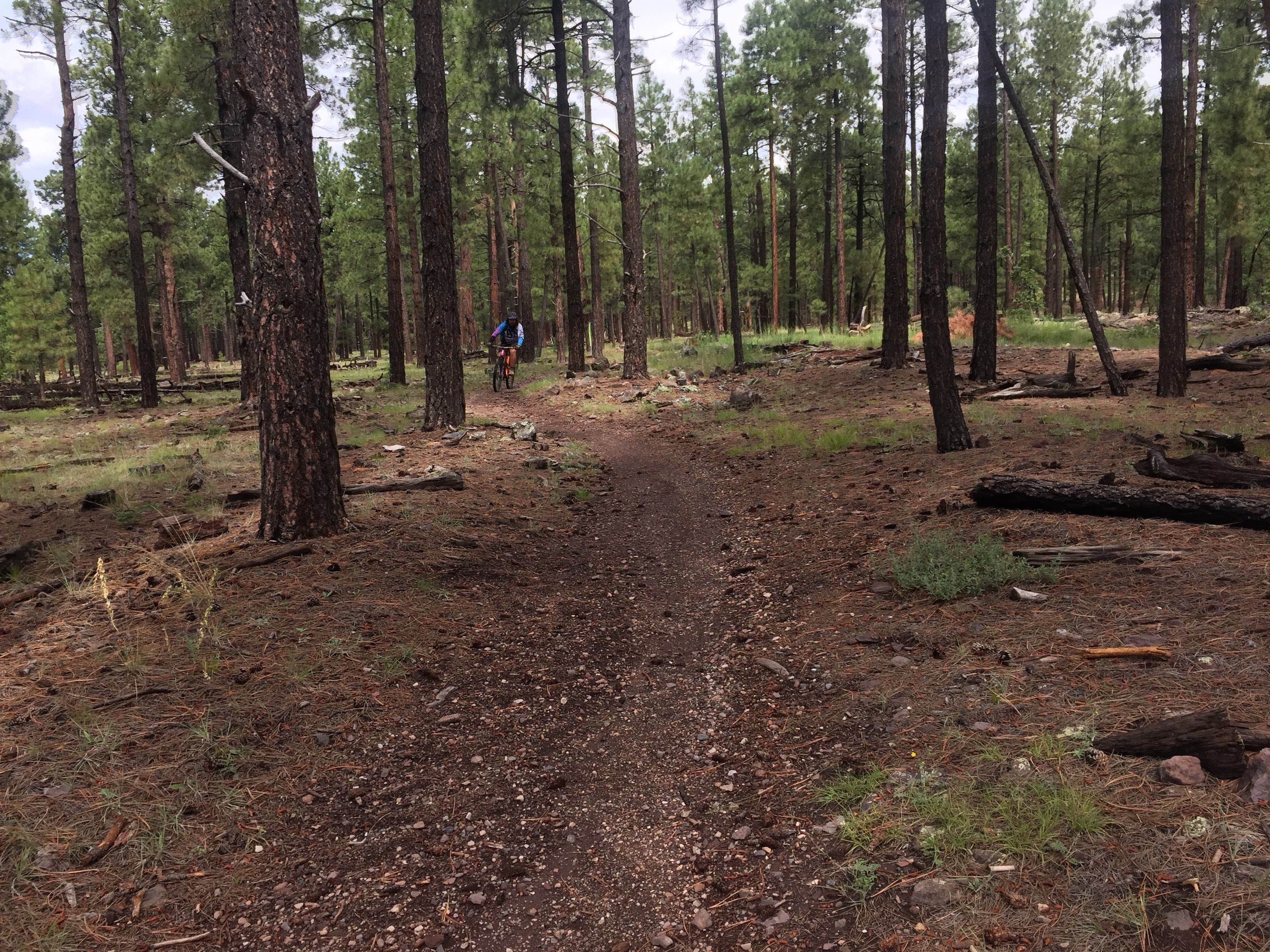 Camper-submitted photo at Fort Tuthill Luke AFB Recreation Area near Bellemont, AZ
