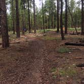 Review photo of Fort Tuthill Luke AFB Recreation Area by Christian S., December 22, 2017