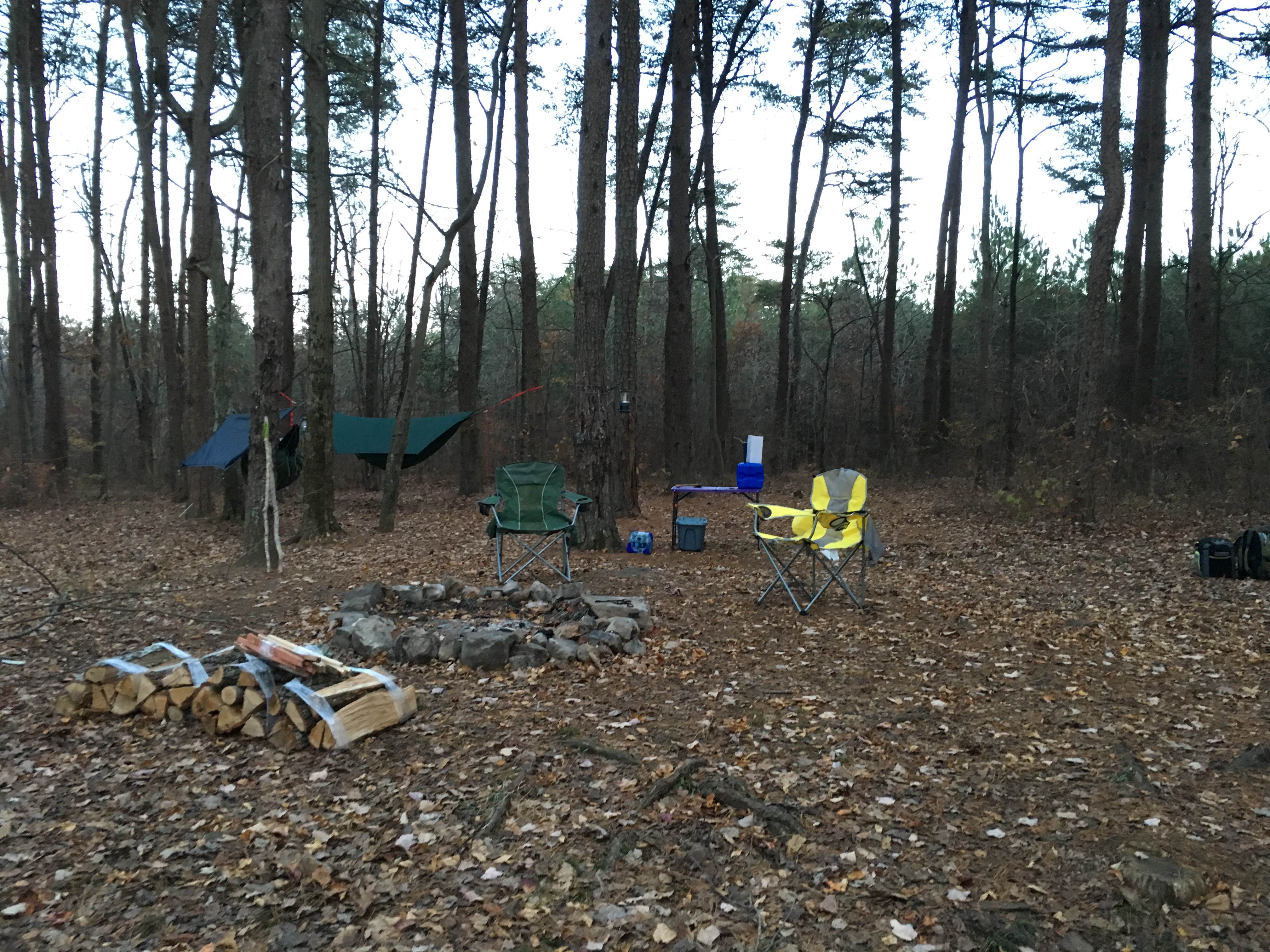 Al C.'s photo at DeSoto State Park Campground near Menlo, GA