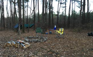 Al C.'s photo at DeSoto State Park Campground near Menlo, GA