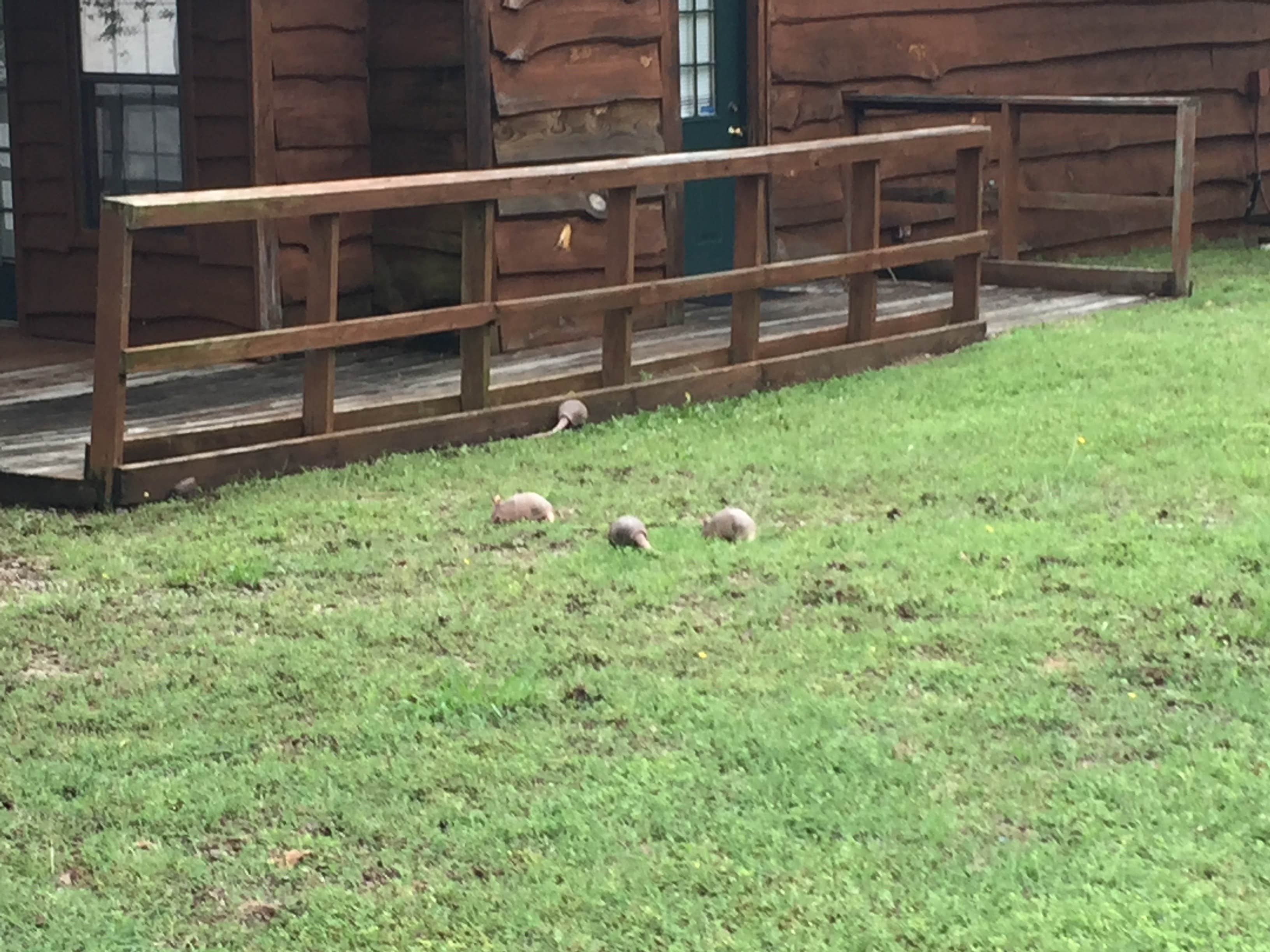 Camping near Shirleys RV Park: Hugo Lake Park, Hugo Lake, Oklahoma