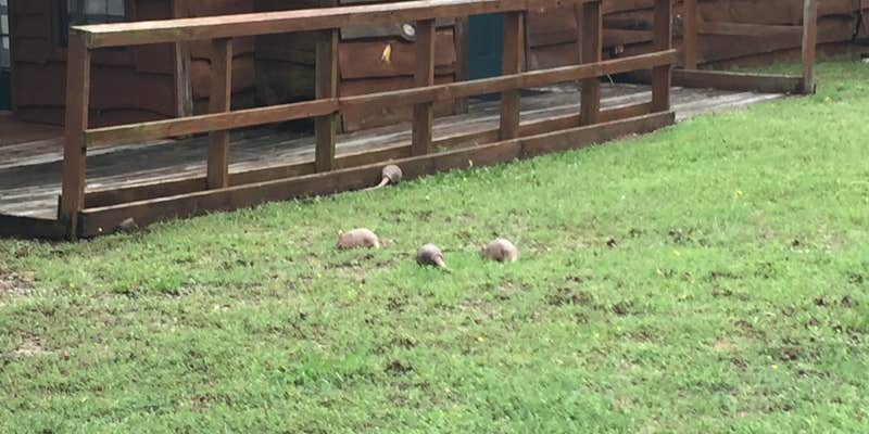 Camper submitted image from Hugo Lake Park