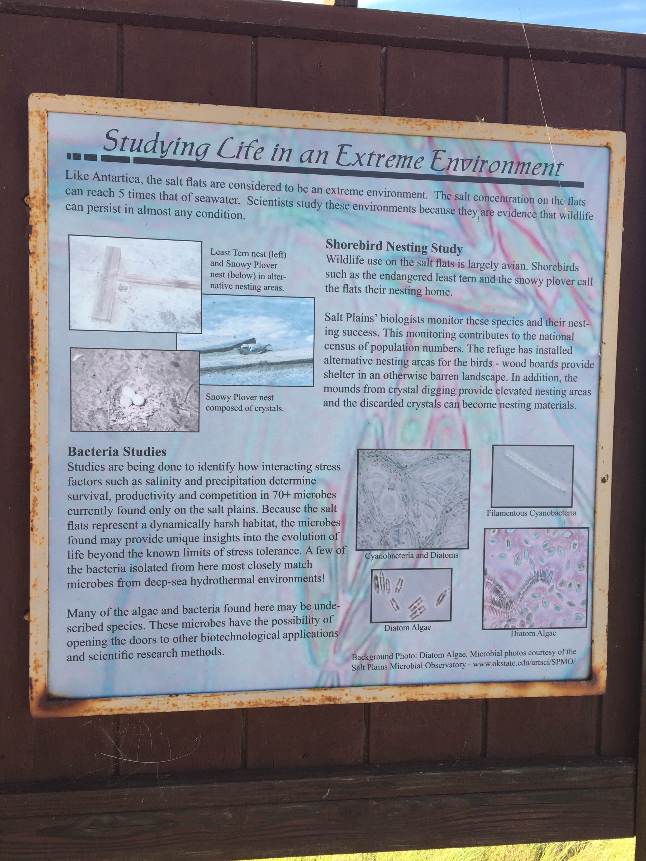 Camper-submitted photo at Salt Plains State Park Campground near Enid, OK