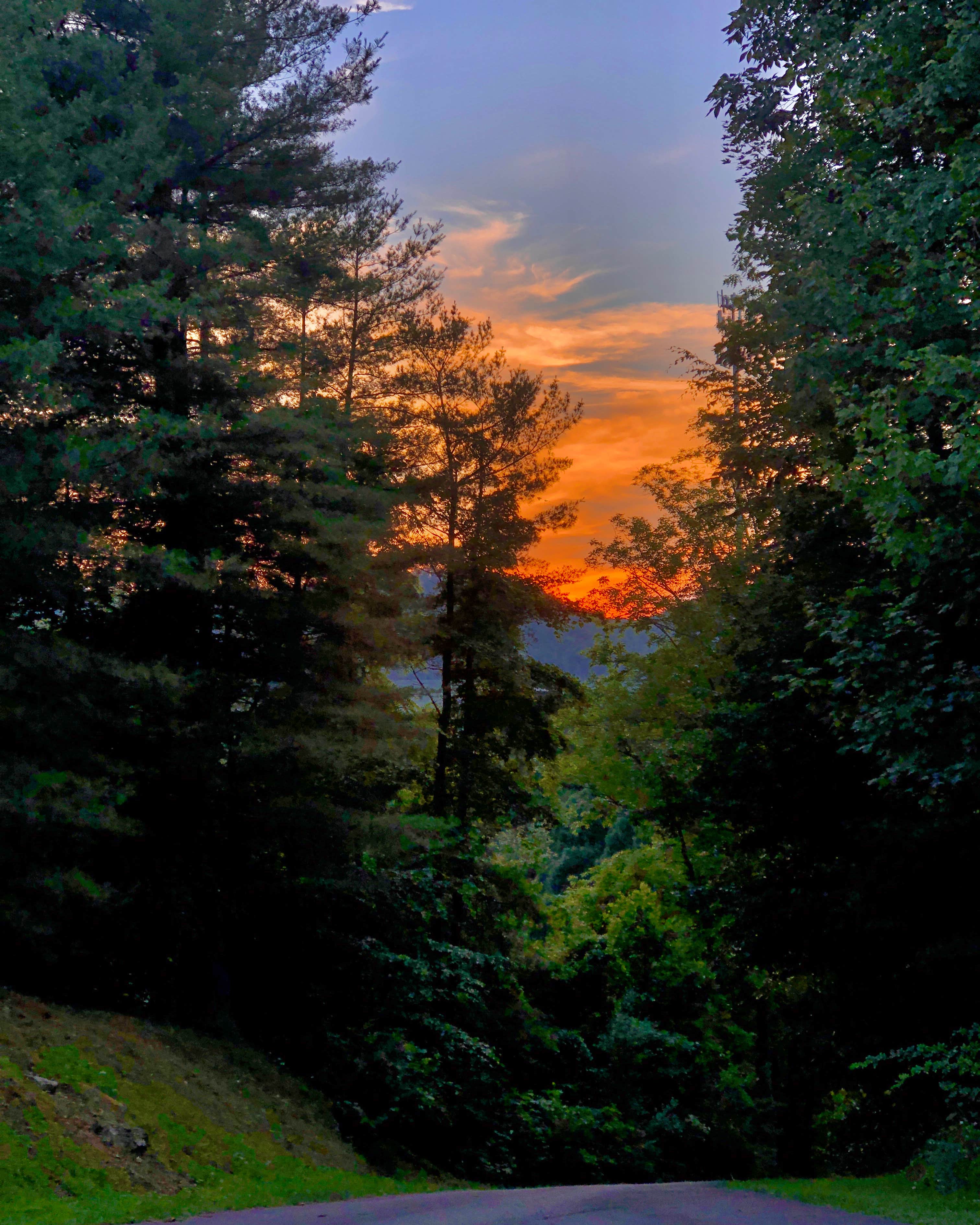 Camper-submitted photo at Flatwoods KOA near Walkersville, WV