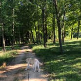 Review photo of Prides Creek Co Park by Laura H., July 7, 2020