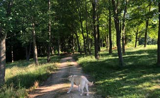 Laura H.'s photo of camping with pets at Prides Creek Co Park near Patoka Lake
