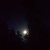 Review photo of Blue Mountain Campground by Cynthia W., July 7, 2020