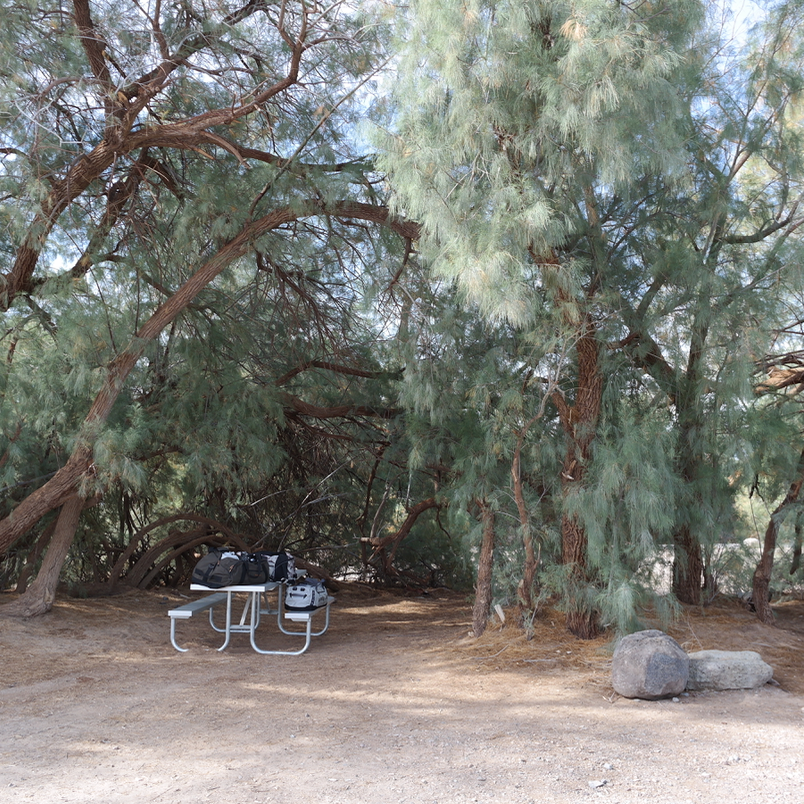 Furnace Creek Campground Camping The Dyrt