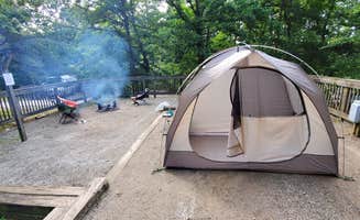 Jeffrey S.'s photo at Amicalola Falls State Park Camping in Georgia