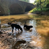 Review photo of Sleepy Creek Campground on the Potomac by Sara S., July 7, 2020