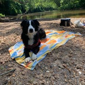Review photo of St. Francois State Park Campground by Kristen  R., July 7, 2020