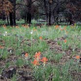 Review photo of Kaibab National Forest Kaibab Lake Campground by John T., July 7, 2020