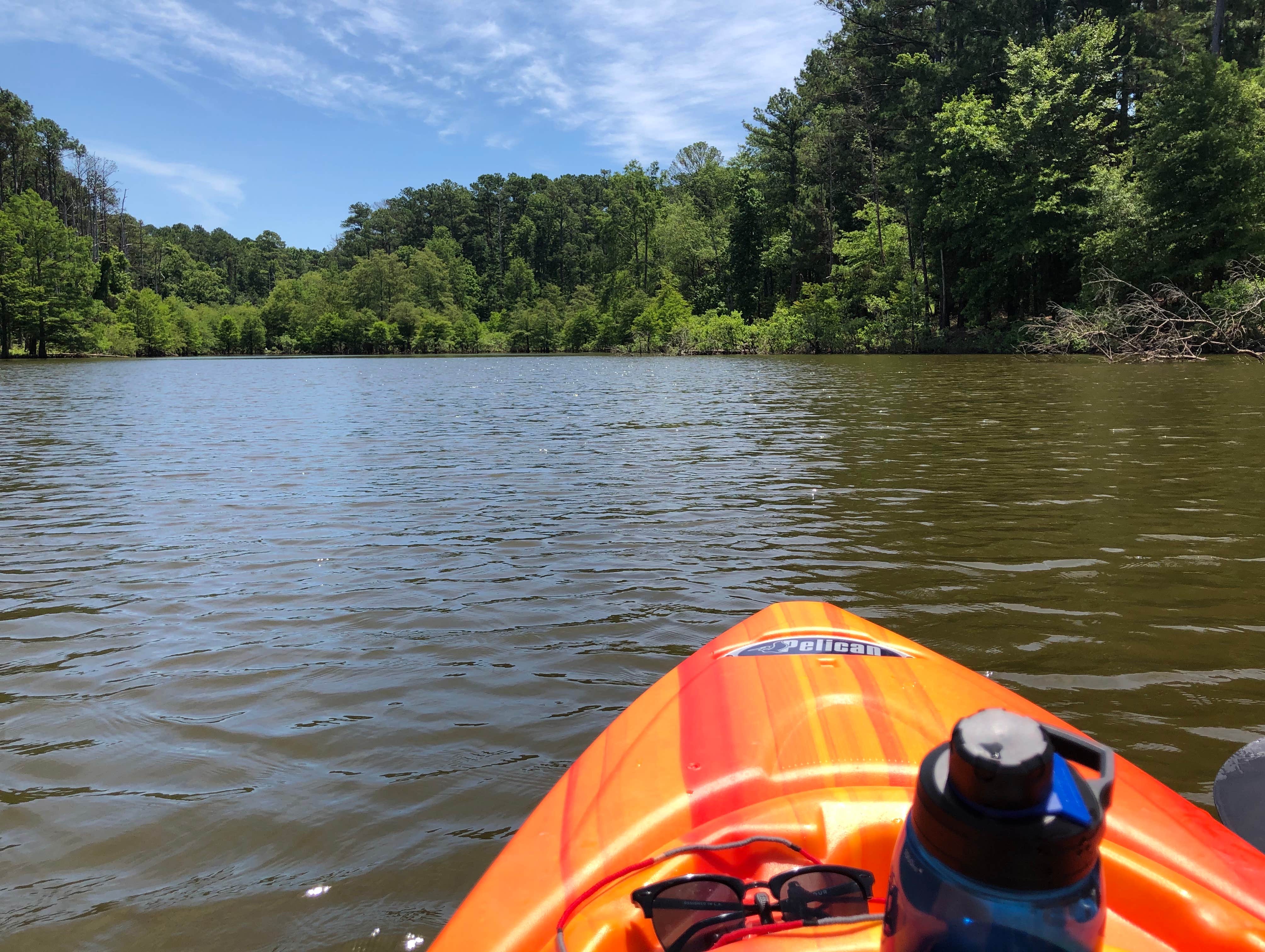 Camper-submitted photo at COE Lake O' the Pines Alley Creek Park near Jefferson, TX