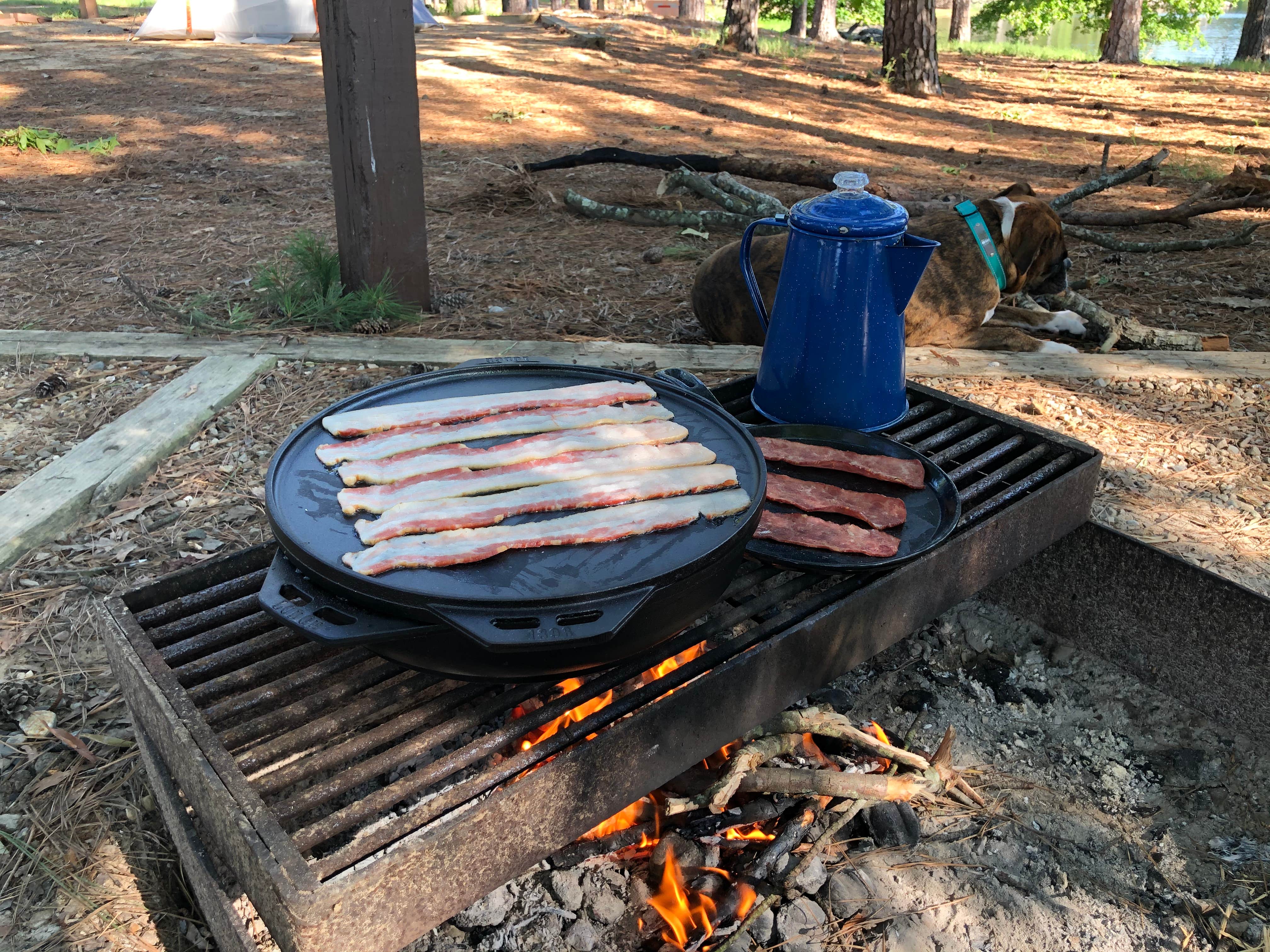 Camper-submitted photo at COE Lake O' the Pines Alley Creek Park near Jefferson, TX