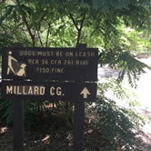Review photo of Millard Trail Campground by Jessica P., July 7, 2020