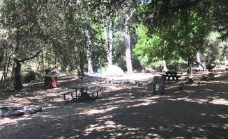 Jessica P.'s photo at Millard Trail Campground near Arcadia, CA