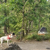 Review photo of Tucker Park Campground by Matthew F., July 7, 2020