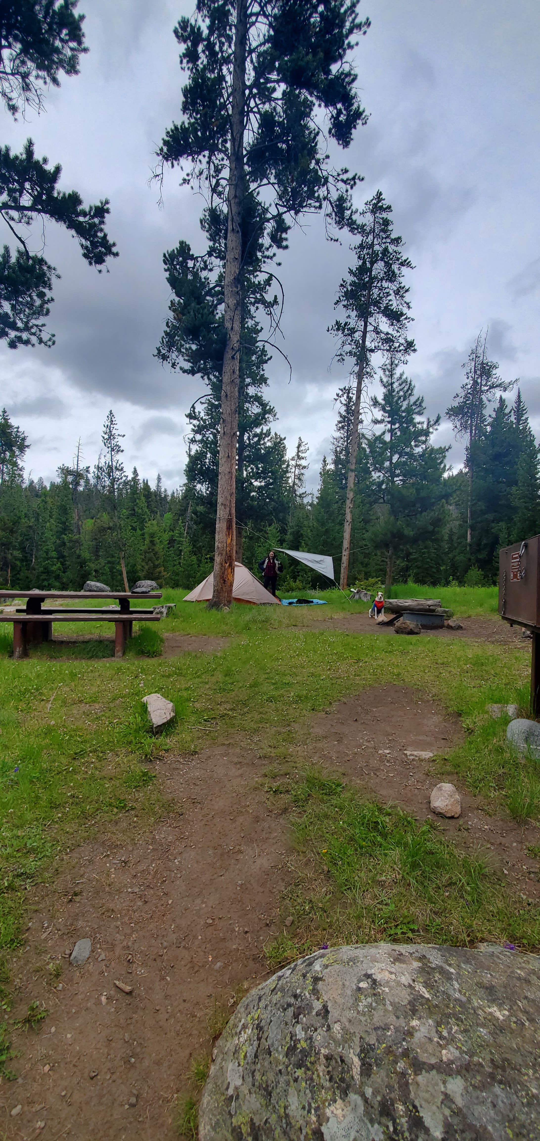 Camper submitted image from Crazy Creek Campground - 4
