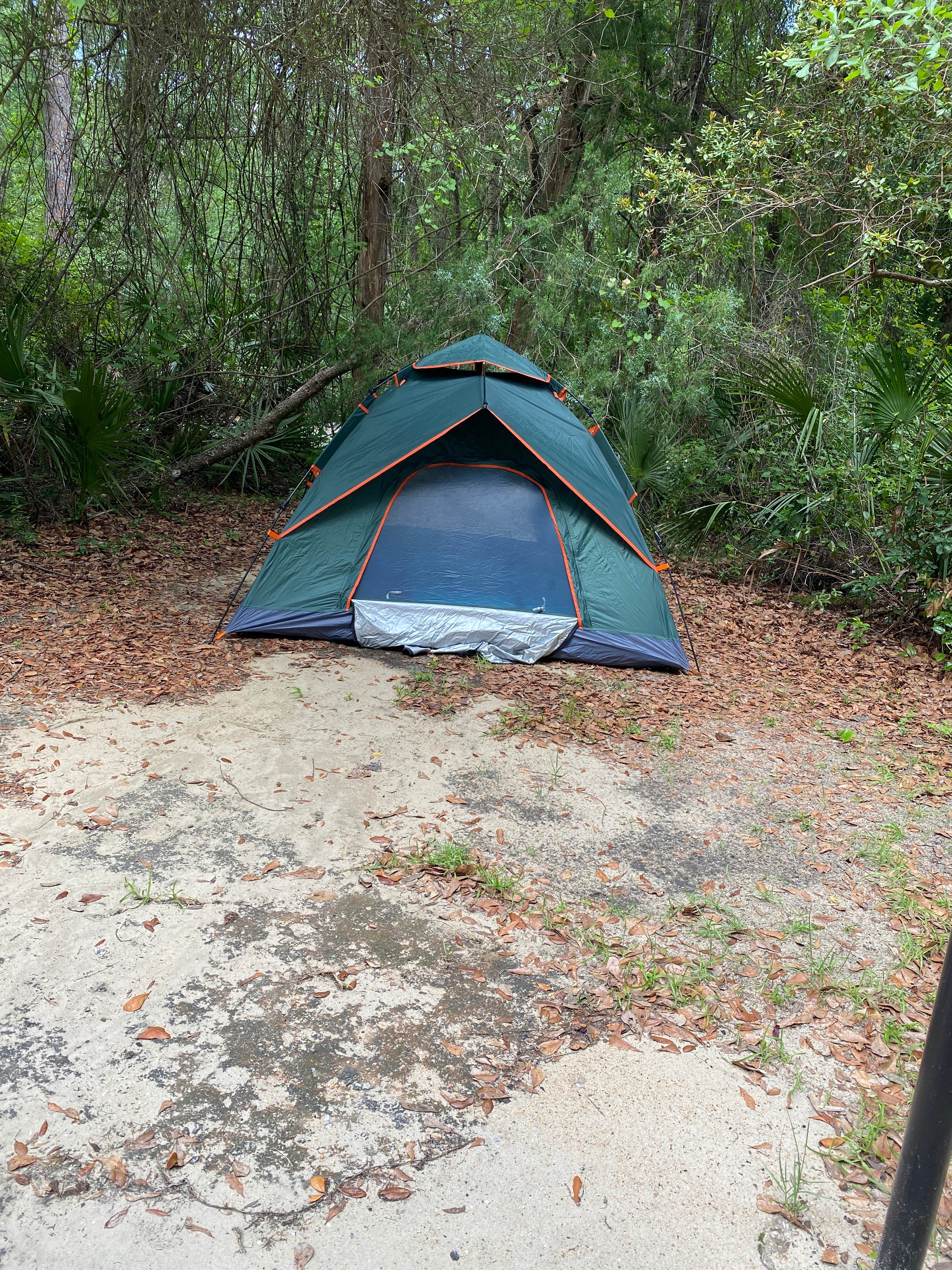 Deven R.'s photo at Juniper Springs Rec Area - Tropical Camp Area near National Forests in Florida
