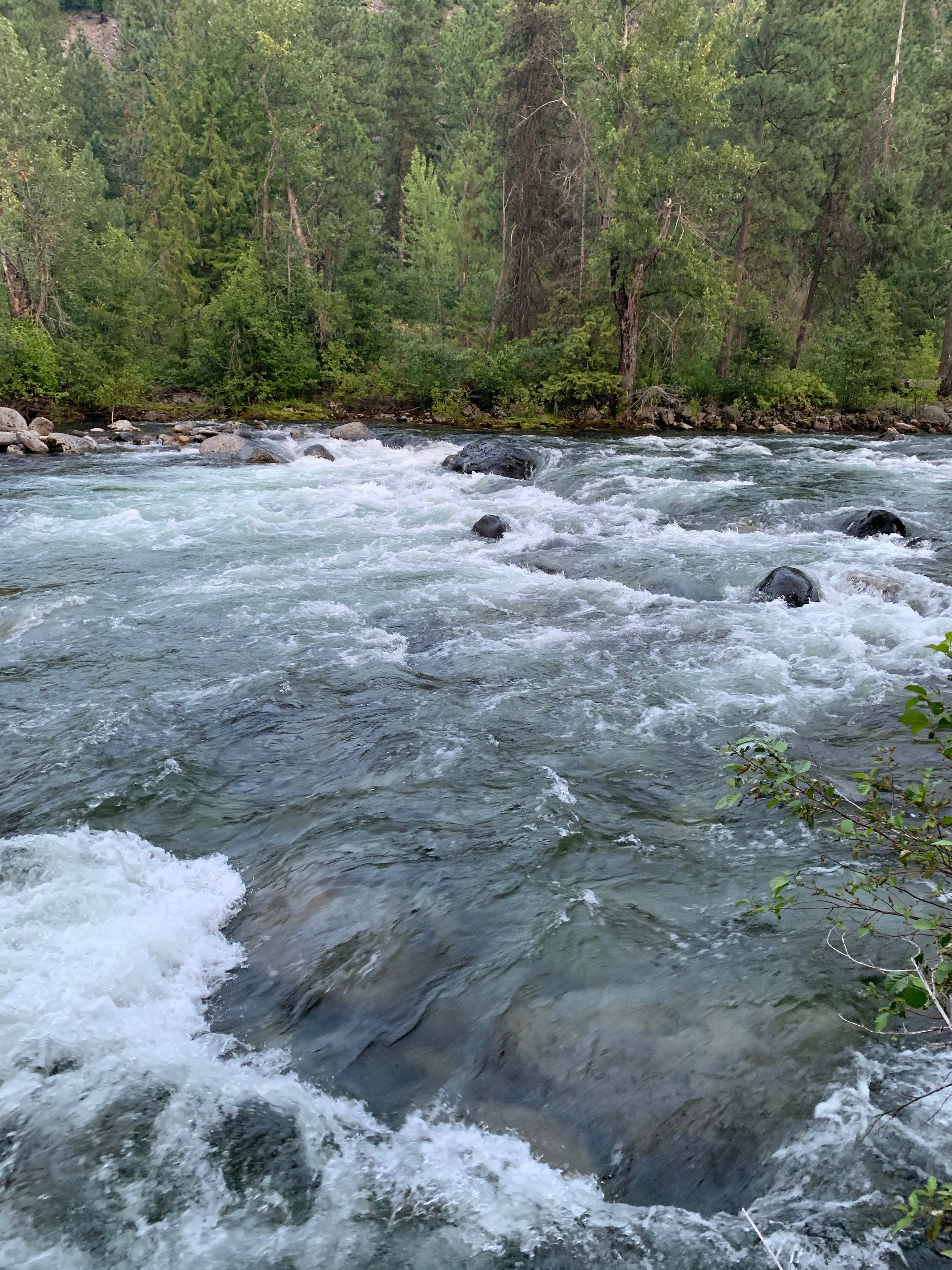 Camper submitted image from Icicle River RV Resort - 4