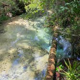 Review photo of Juniper Springs Rec Area - Tropical Camp Area by Deven R., July 7, 2020