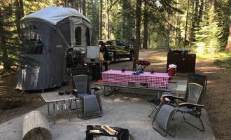 Camping near Fowlers Campground: Cattle Camp Campground, McCloud, California