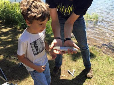 Camper submitted image from Ohaver Lake Campground - 5