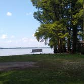 Review photo of Reelfoot Lake State Park Campgrounds by Terry H., July 8, 2020